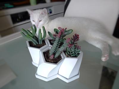 Honeycomb Planter
