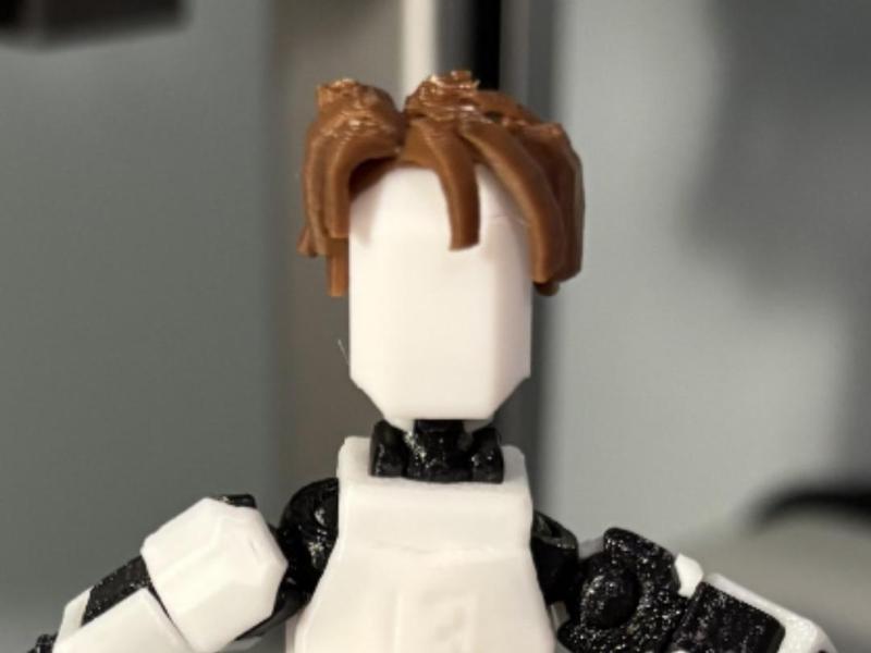 Bacon Hair From Roblox (Perfect Fit) | Dummy 13