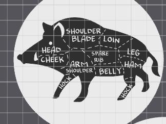 boar cuts coaster