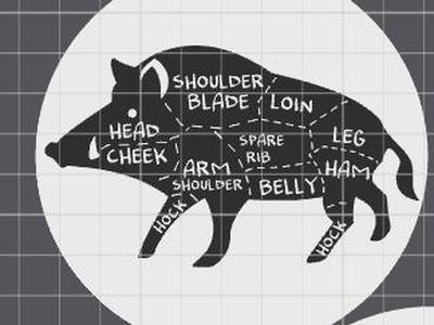 boar cuts coaster