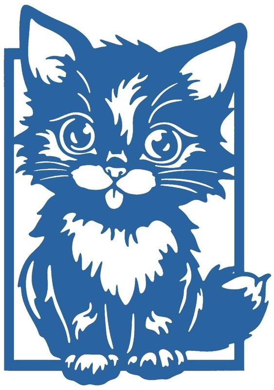 2D Cat 8