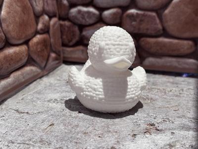 Osage Orange Duck