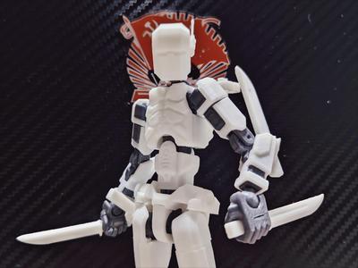 DUMMY 13 - [Warframe Armaments] - [Dagger Kit]
