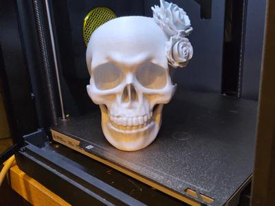 Skull bowl / Planter
