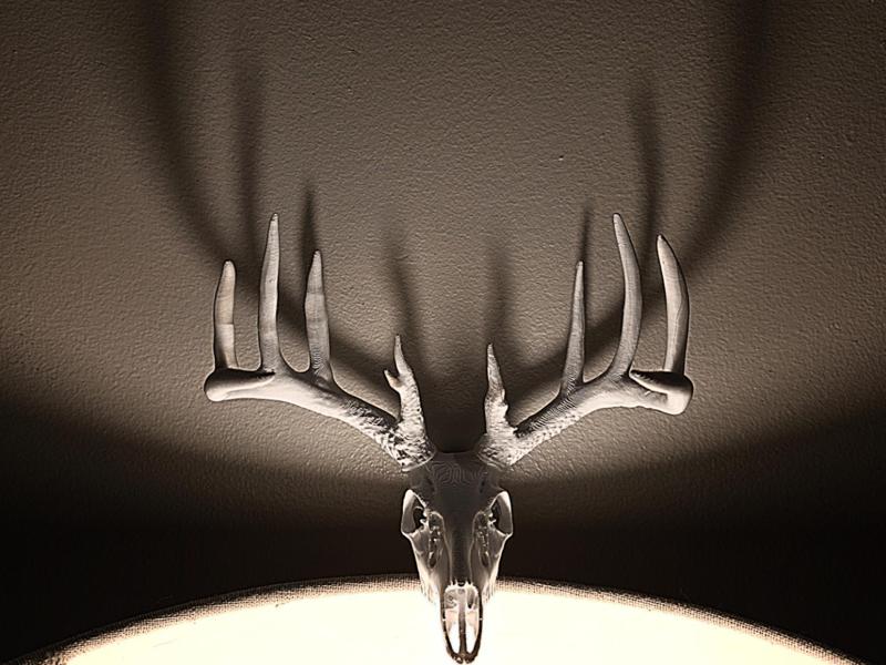 "Hank's Buck" Deer Skull
