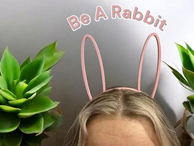 Bunny / Rabbit Ears / Hasenohren / Diadem