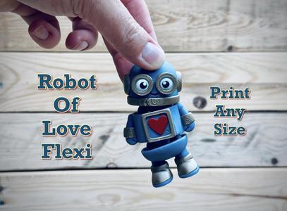 Robot of Love Flexi 