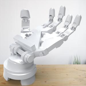 Robotic Hand