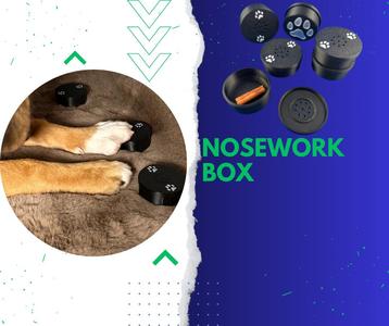 Scent Training Containers - Nosework