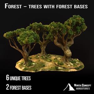 Forest - Trees with forest bases - Terrain