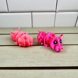 Cute Flexy Pig