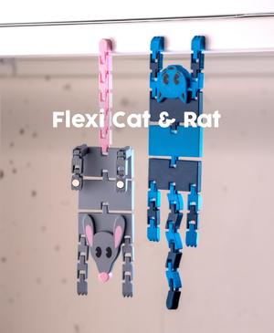 Articulated Flat Cat & Rat