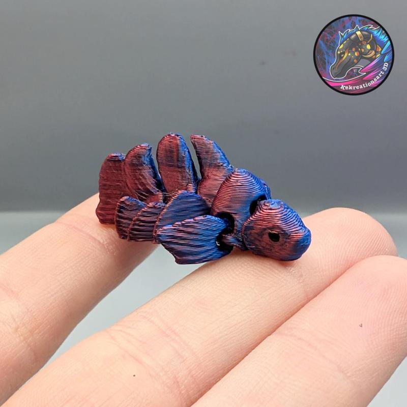 flexi nano beta fish