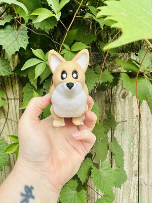 Cute Corgi