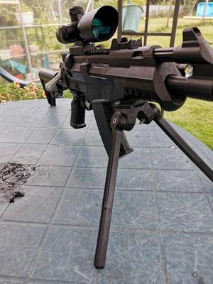 Crosman 2240 carbine skin
