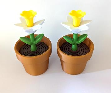 Daffodil - Springy Flower Collection