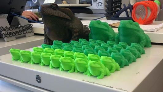 Bullfrog Scanned on MakerBot Digitizer