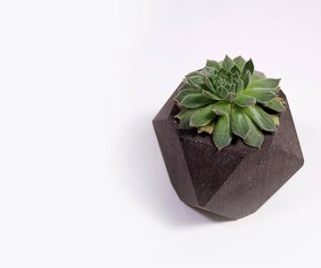 Geometric Planter & Tea Light Candle Holder