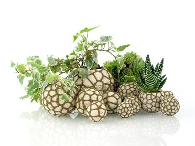Organic stone pots - Landscape builder (1- or 2-color)