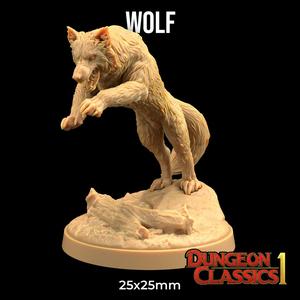 Wolf