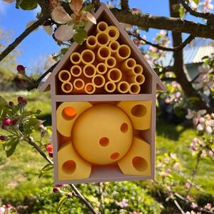 BUG HOTEL 