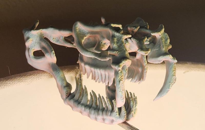 "Venomous" Snake Skull