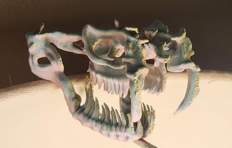 "Venomous" Snake Skull