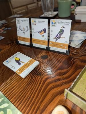 Wingspan Card Holder