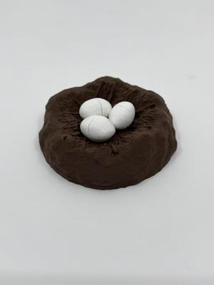 Dinosaur Nest