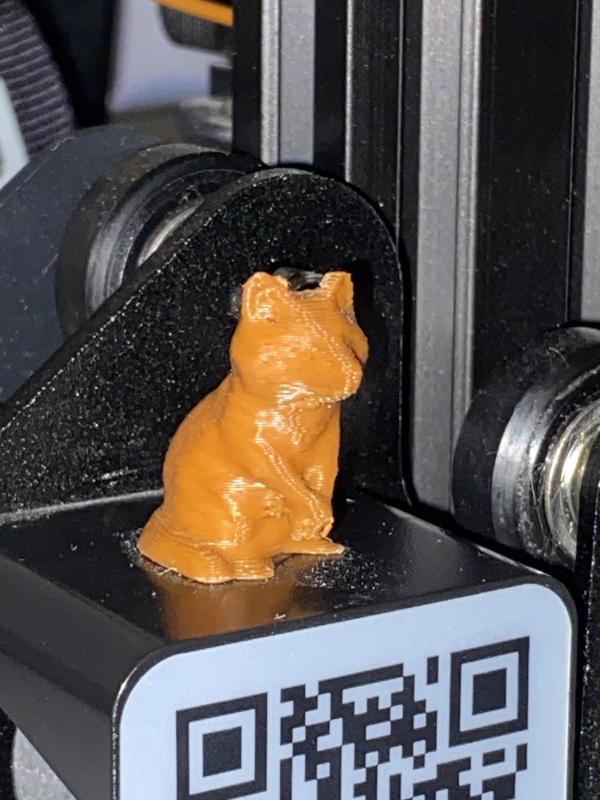 1 Inch Raccoon