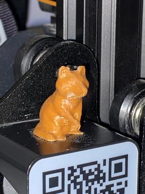 1 Inch Raccoon