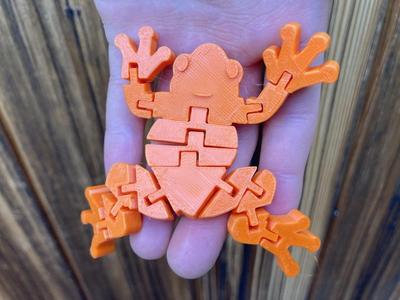 Cute flexi frog