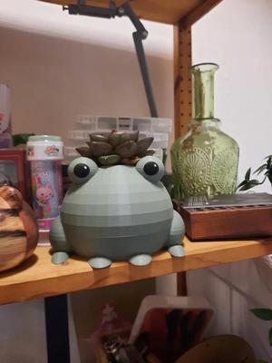 Frog pot