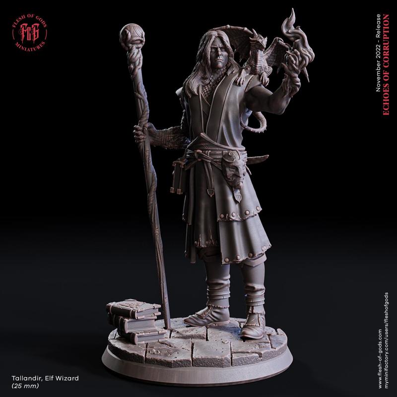 Tallandir, Elf Wizard