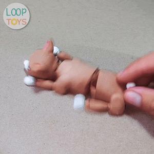 Flexible Cat – Articulated 3D Toy