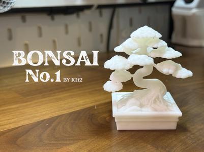 Bonsai Tree No.1