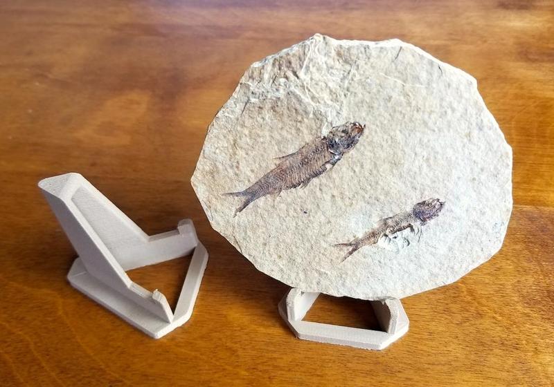 Specimen Stand (Fits most phones as well)
