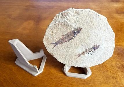 Specimen Stand (Fits most phones as well)