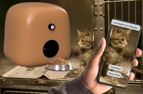 Kibble – Smart Food Dispenser for Shelters
