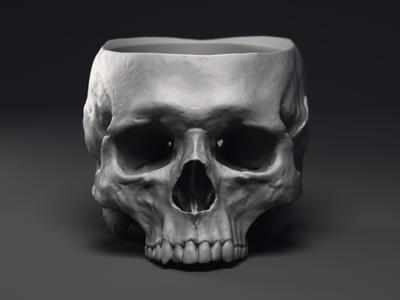 Skull Flower Pot Printable 3D Model