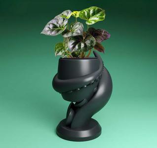 Octopus Plant pot with drainage STL 3D Printer file: instant download, gardening decor