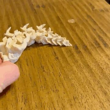 Dragon’s spine