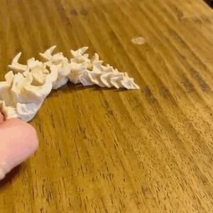 Dragon’s spine