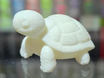 Tiny Turtle