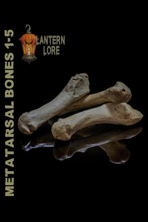 Members Exclusive Metatarsal Bones 1-5 Keychains/Ornaments (Pre Supported)