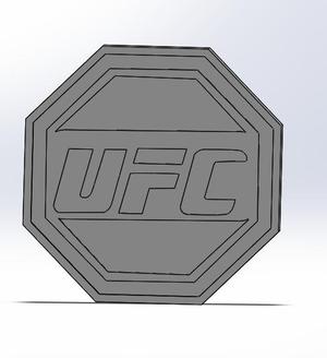 UFC Belt (Upside down, sorry)