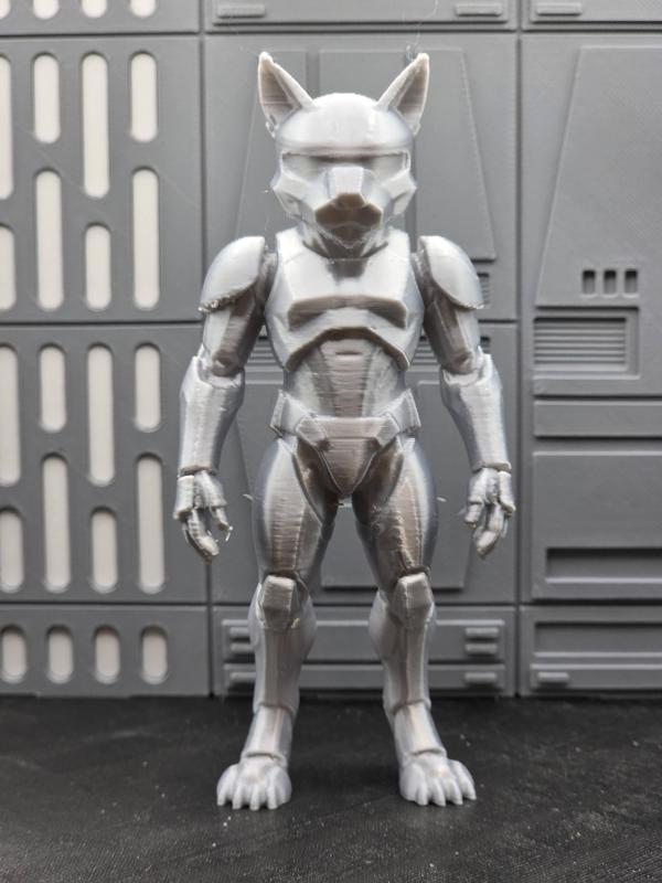 Cat Stormtrooper