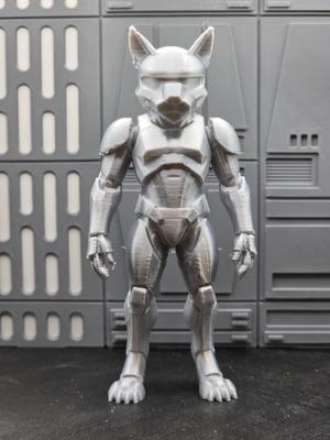 Cat Stormtrooper