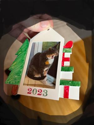 Picture Frame Christmas Ornament
