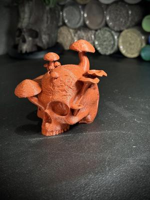The Reclaimed Skull